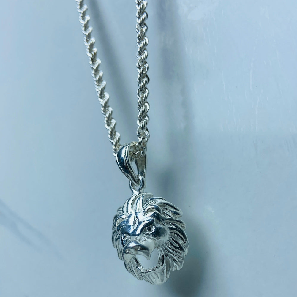 Silver lion head pendant on a chain against a light background