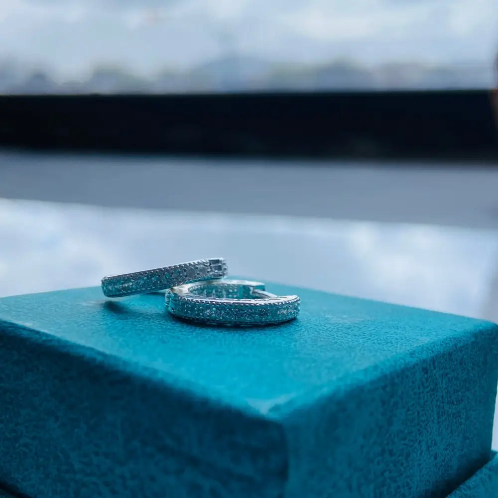 Silver flooded sleepers earrings with intricate glittering stones for elegant jewelry style