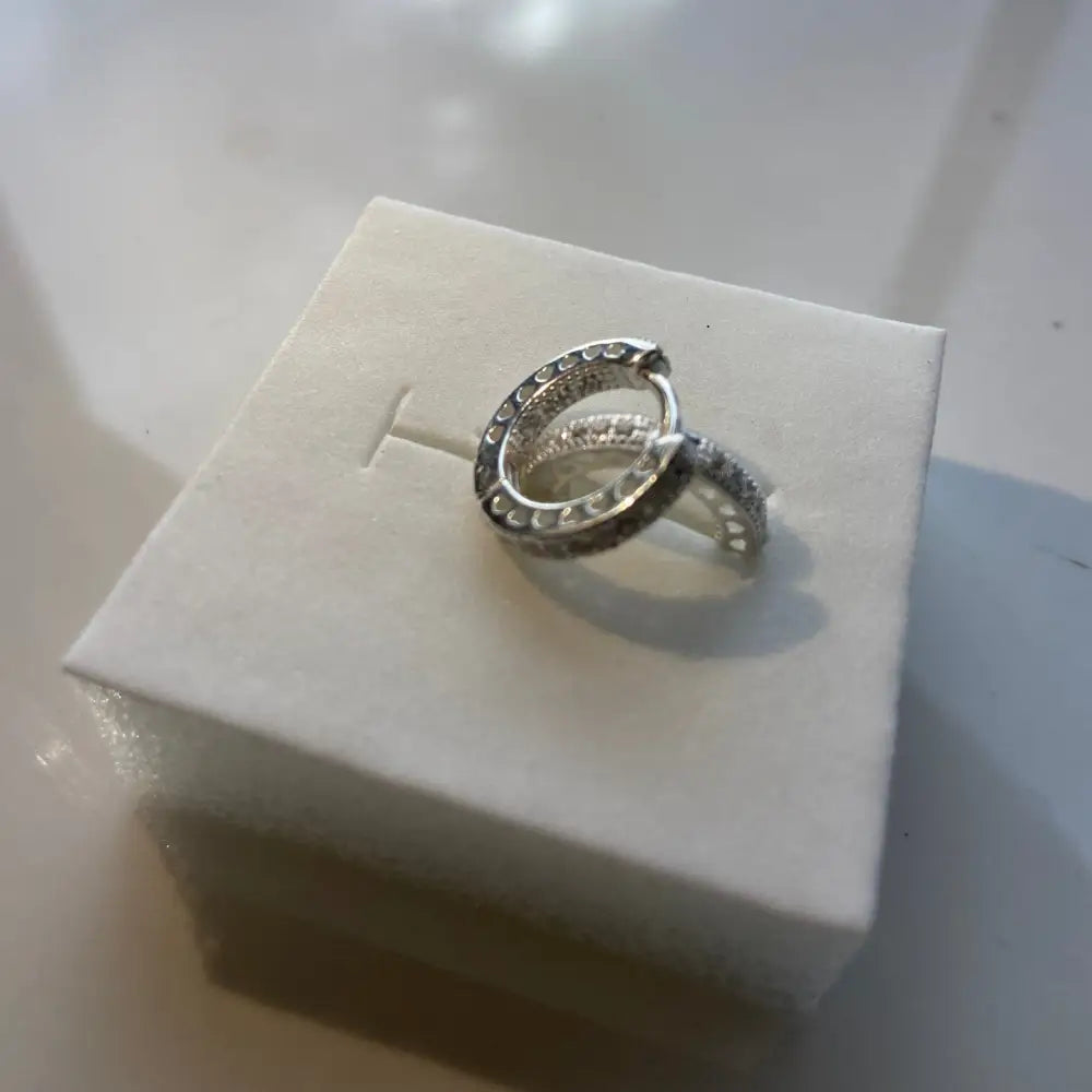 Sparkling silver flooded sleepers earrings with deep shine and hoop design